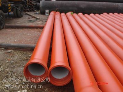 沧州永欣鸭嘴阀 给水管与排水管系统的关键组件